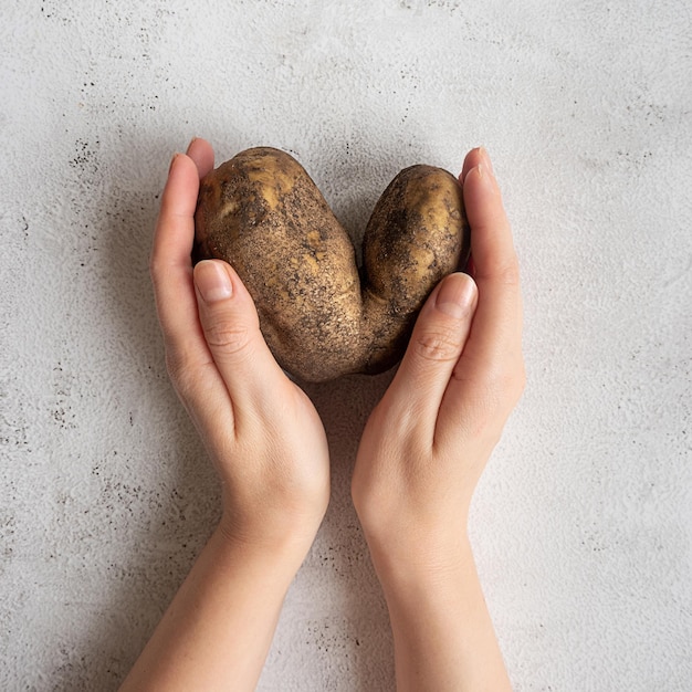 Heart-shaped potato in woman's hands on a gray background. Funny, ugly vegetable or food waste conce