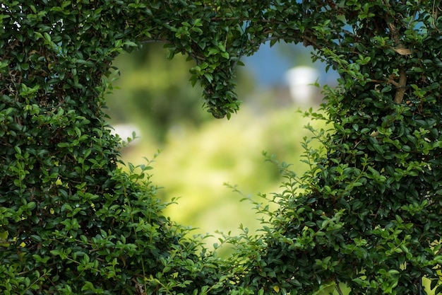 Photo a heart shaped window with a heart in the middle