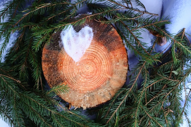 Heart of snow on tree stump and fir tree green branches in autumn park