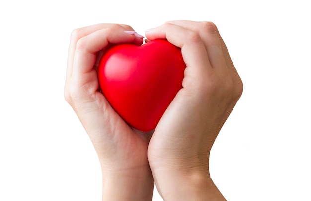 Heart in women's hands A symbol of life love isolated on a white background