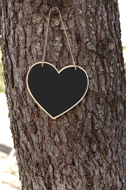 Heartshaped slate sign hanging from a tree