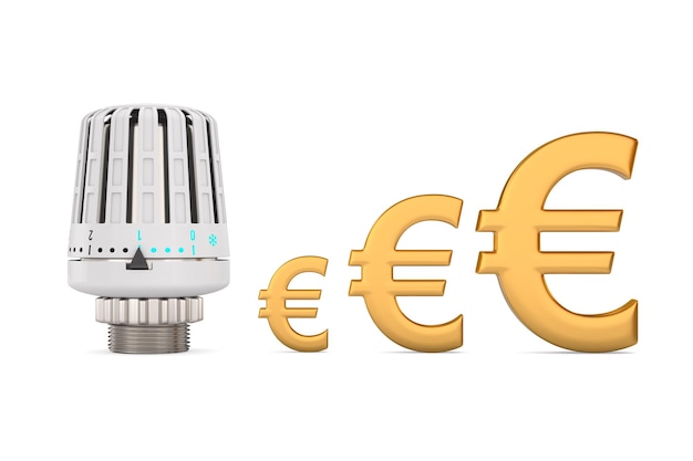 Heater thermostat and symbol Euro on white background Isolated 3D illustration