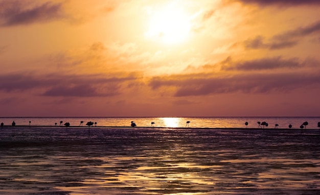 Heavy dramatic clouds and bright sky over the Atlantic Ocean Beautiful african desert sunset