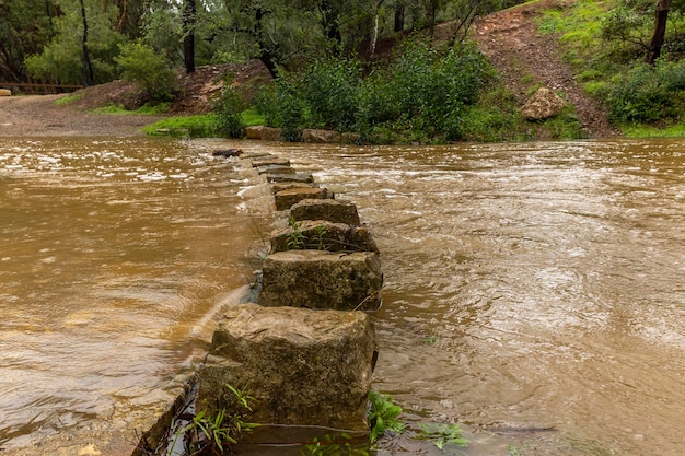 Heavy rains create brown river water