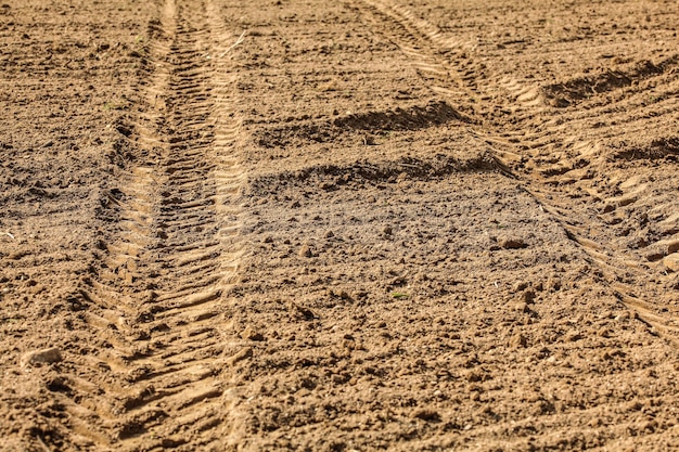 Heavy vehicle (tractor) tire track print in dry field, lit by sun.