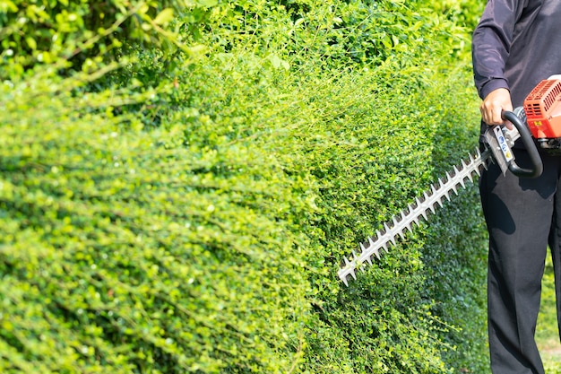  Hedge trimmer in action