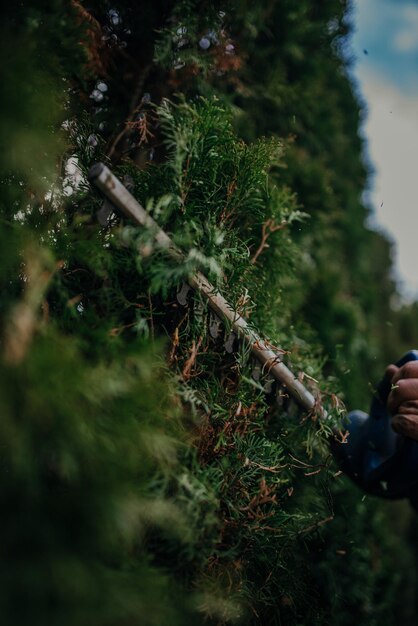 Hedge Trimming Job. Caucasian Gardener with Gasoline Hedge Trimmer Shaping Wall of Thujas in a Garden.Macro