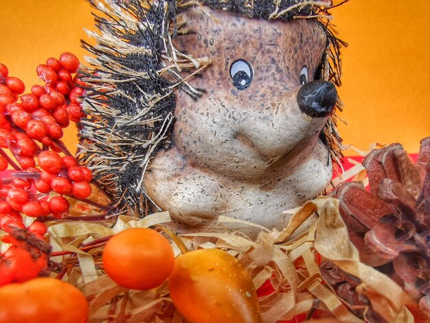 Photo hedgehog sits in straw with pumpkin fir cones and berries orange red brown