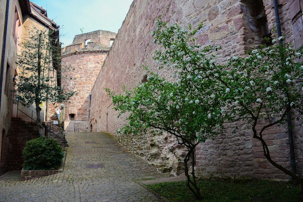 HEIDELBERG GERMANY May 2022 Market streets crowded with tourists in Heidelberg in Germany Heid