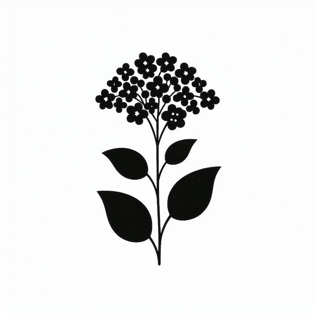 Photo heliotrope flower silhouette vector