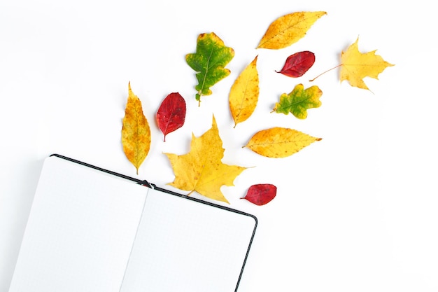 Hello autumn Blank notebook and yellow fallen leaves on a white background