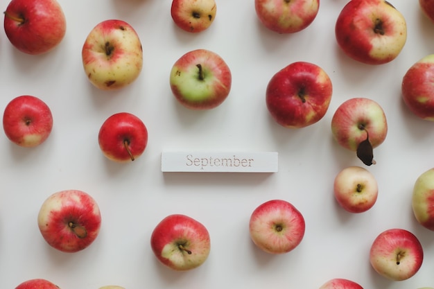 Hello autumn card with fresh red apples on white background top view