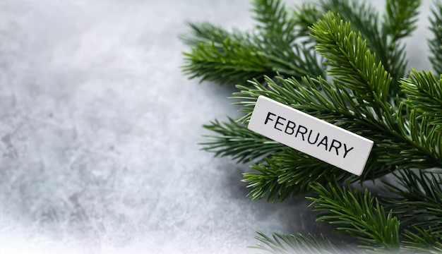 Hello february and winter background with spruce branches