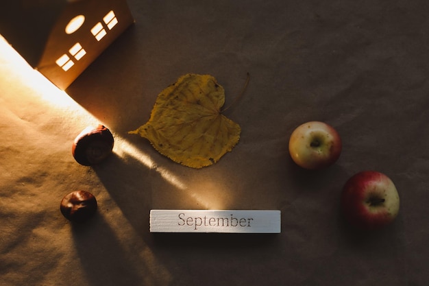 Hello september autumn card with fresh red apples on white background top view