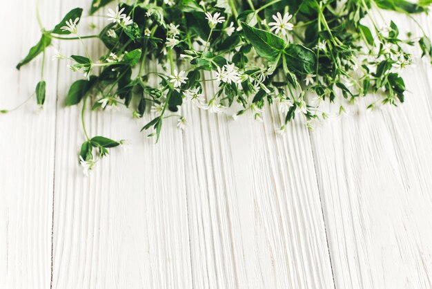 Photo hello spring image beautiful little white flowers with greenery on rustic white wooden background top view space for text greeting card earth day happy mothers woman day ecoxa