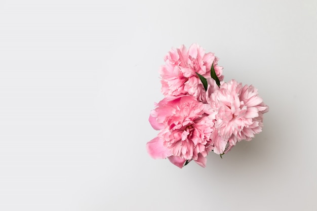 Hello spring. Spring flowers in vase