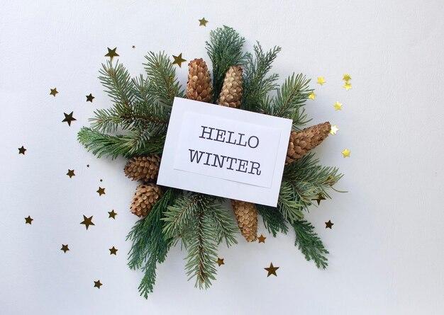 Hello winter greeting card, fir tree branches, cones and festive decor on white background, flat lay