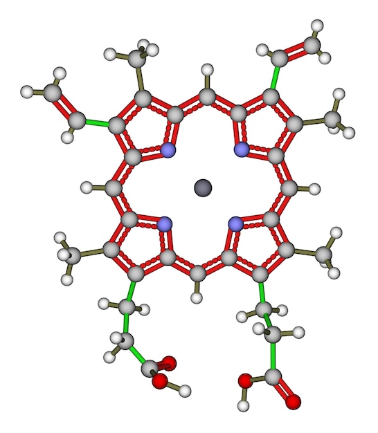 Heme b the important component of hemoglobin and myoglobin