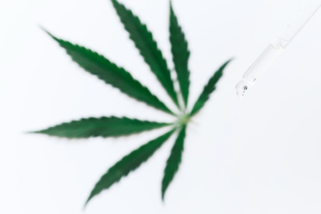 Hemp CBD oil in a pipette on a white background with a hemp leaf biomedicine and ecology hemp grass medicine cbd oil from a medical extract