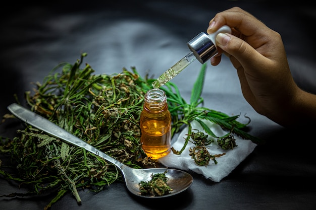 Hemp oil and cannabis leaves placed on dark surface