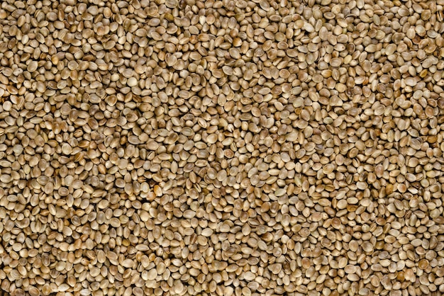 Hemp seed background