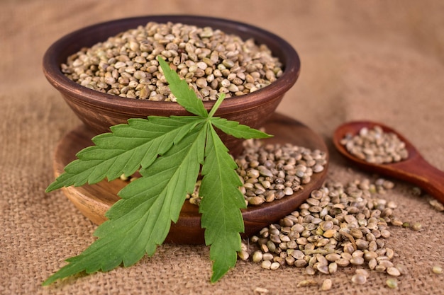 Hemp seeds in a clay bowl and hemp leaves Useful seeds