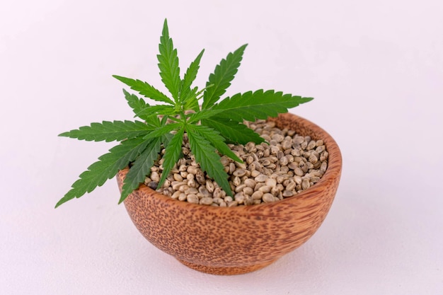 Hemp seeds with green leaf in a wooden bowl on a white background