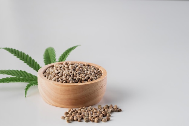 Hemp seeds with green sativa hemp leaf on top Legalized marijuana concept