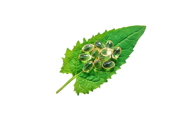 Herb supplement capsules on green leaf isolate on white background Selective focus