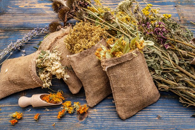 Herbal harvest collection and bouquets of wild herbs. Alternative medicine. Natural pharmacy, self-care concept