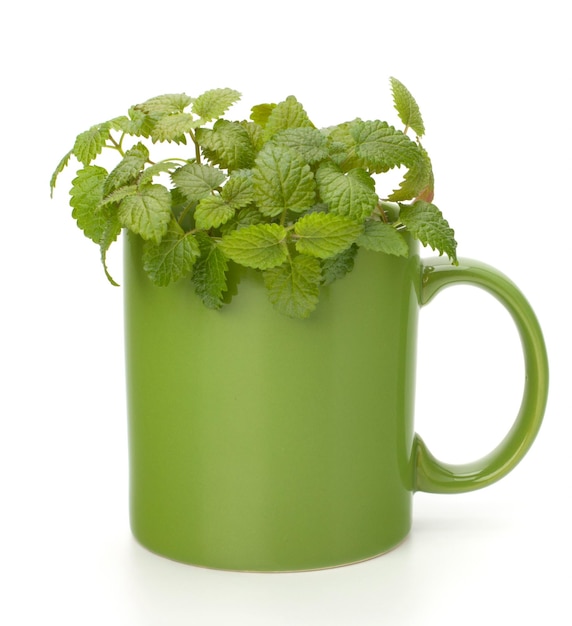 Herbal peppermint tea cup