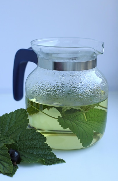 Herbal tea from currant leaves with currant berries in a teapot