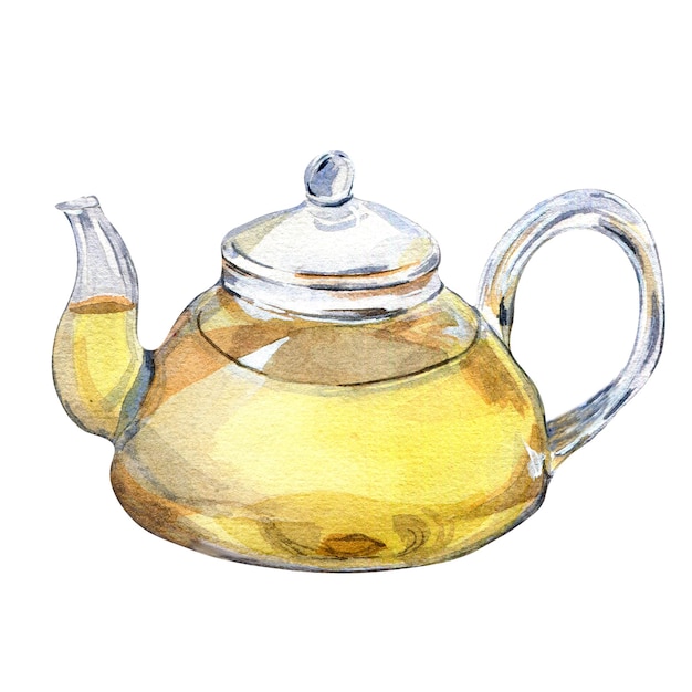 Herbal tea in a glass transparent teapot watercolor illustration isolated on white background