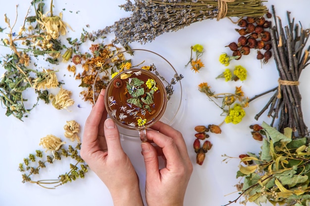 Herbal tea with medicinal herbs and flowers Selective focus