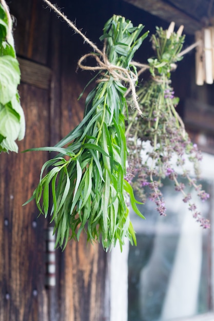 Herbs hang and dry