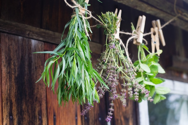 Herbs hang and dry