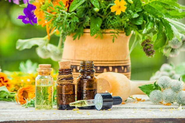 Herbs in a mortar Medicinal plants Selective focus