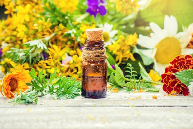 Herbs in a mortar Medicinal plants Selective focus