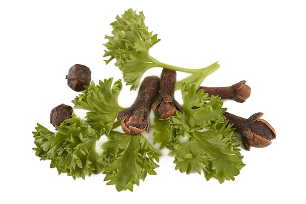 Herbs and spices on a white background isolated