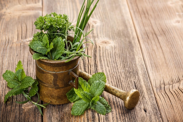 Herbs with antique mortar