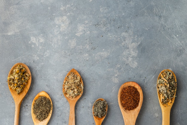 Herbs with wooden spoon in gray slate background