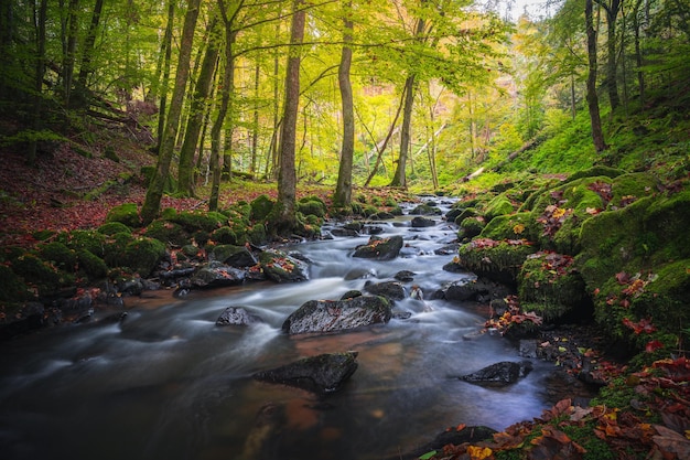 Herbst im Perlbachtal bei Mitterfels. Fotos vom Bach und der Natur im Perlbachtal.