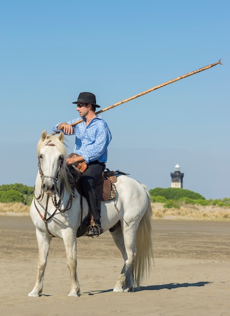 herdsman on the beach