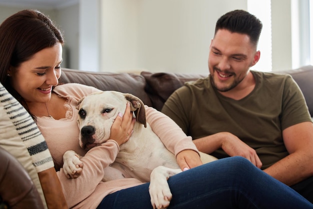 Hes our fur baby Cropped shot of a dog sitting at home with his human parents