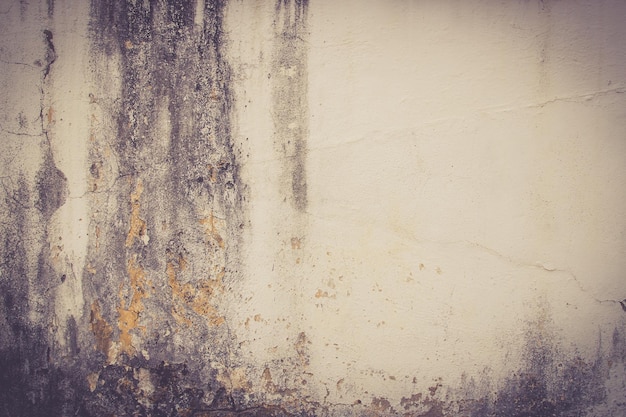 Hi res grunge cement texture and old background