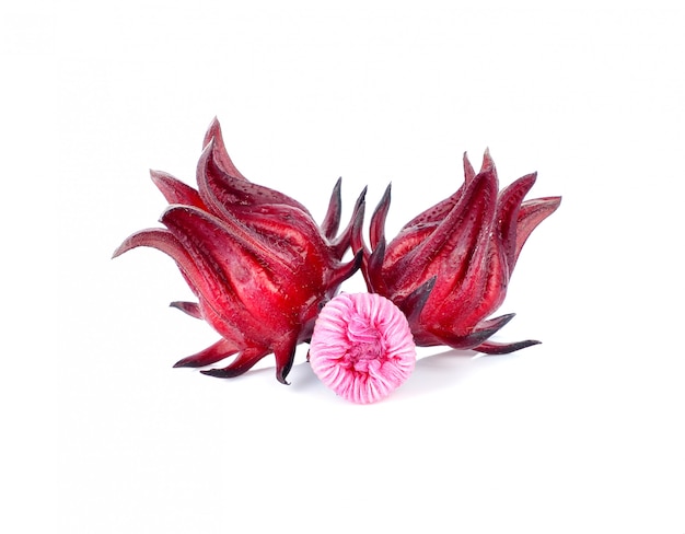 Hibiscus sabdariffa or roselle fruits isolated on white background.