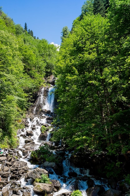 Hidden rain forest waterfall with lush foliage and mossy rockstropical sunny landscape fresh summer