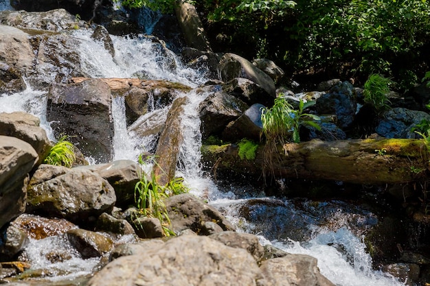 Hidden rain forest waterfall with lush foliage and mossy rockstropical sunny landscape fresh summer