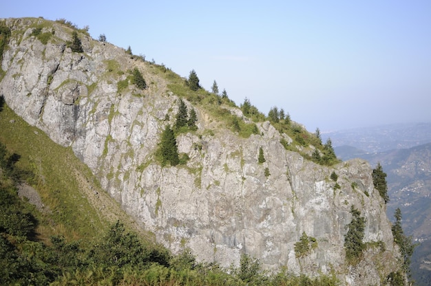 Hidirnebi Plateau located in the town of Akcaabat, 1450 - 1500 m at its height.