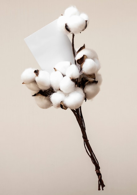 Photo high angle cotton branches